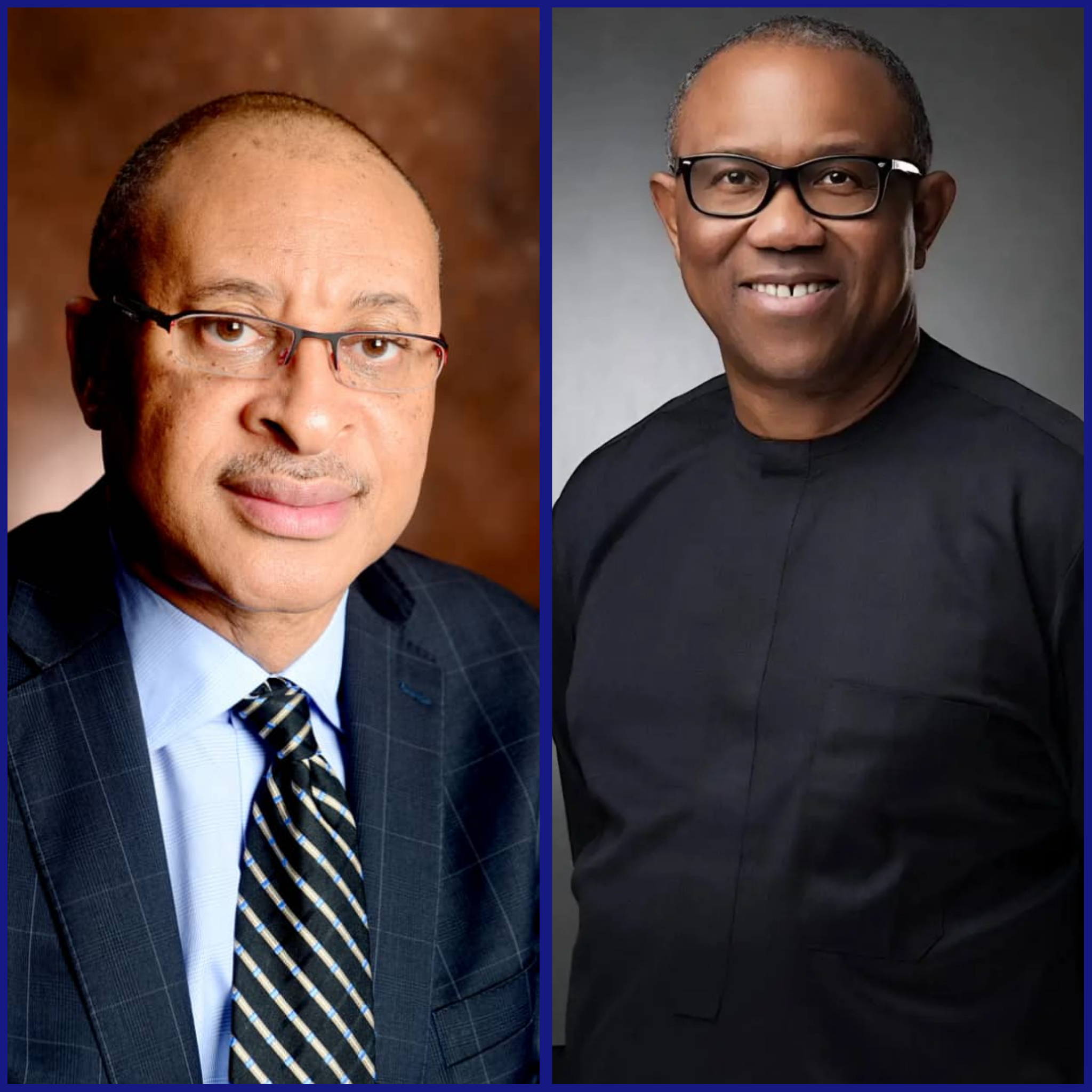 Pro Pat Utomi Peter Obi Will Run, I Will Stand With Him